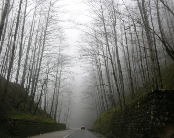 如何縮短車貸放款時間:提高貸款申請成功率的秘訣 8 photo 1542436417422 d624a6d0afa6