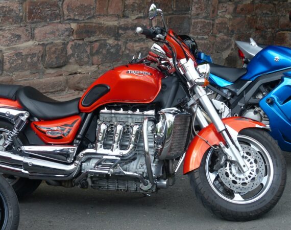 photo 1559330810 0331acf80f4a