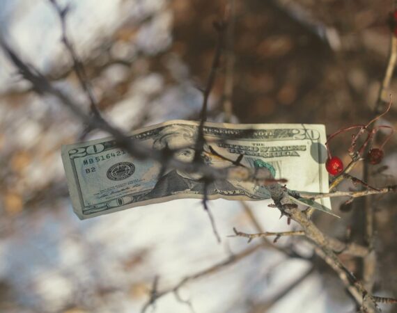 photo 1579186140969 7d690cb8b536