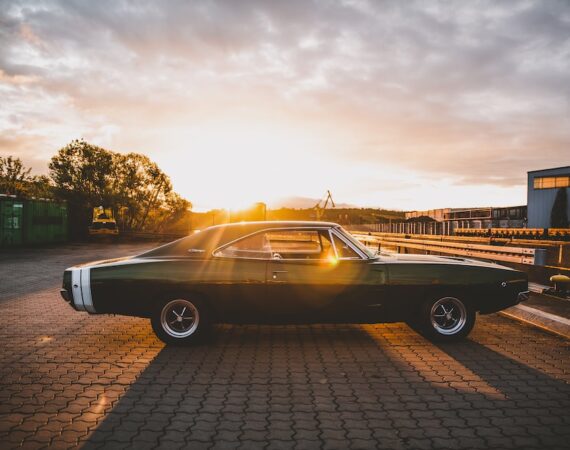 photo 1580115959634 40ff152f874b