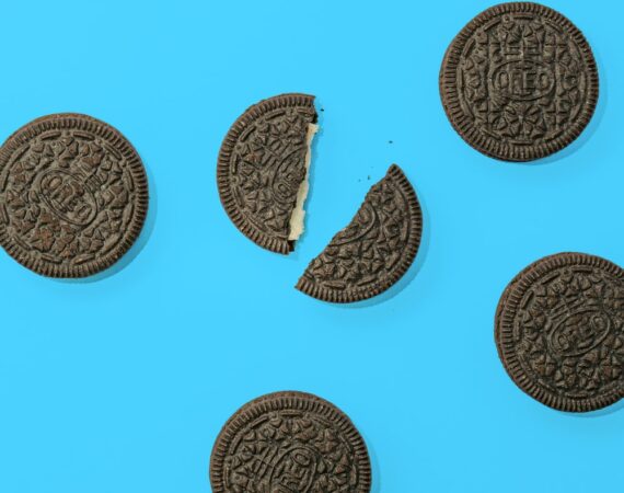 photo 1582653667527 a359ef471718