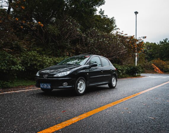 photo 1585995798233 3f4de45c86f9