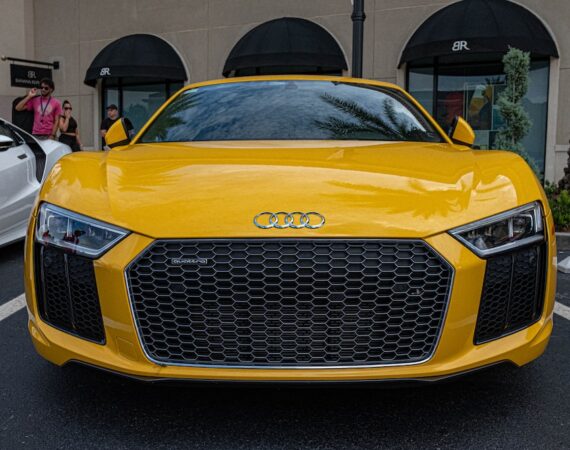 photo 1586665566945 673293a6ea98