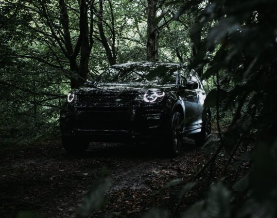 photo 1593078012636 5d6b6e2431e1