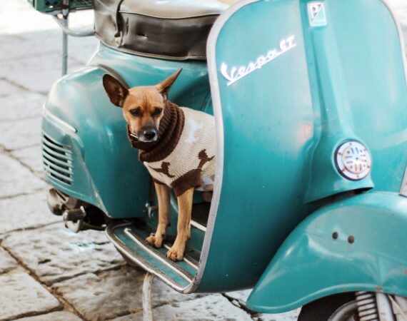 photo 1603028273563 d078464b454c