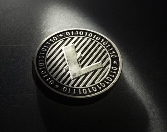 photo 1622630732278 ca6d08c52b6f