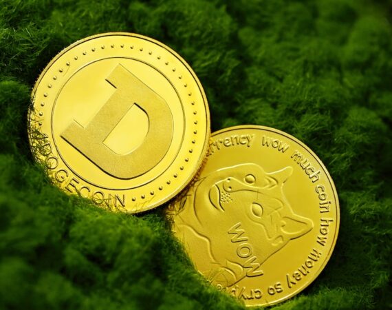 photo 1624872316440 95668bfdb4ab