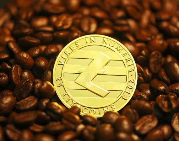 photo 1628498643840 433c64d9d4ca