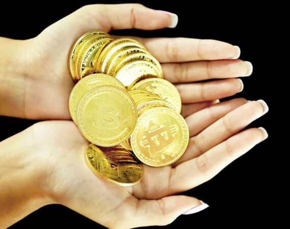 photo 1629449710984 c01321f04882