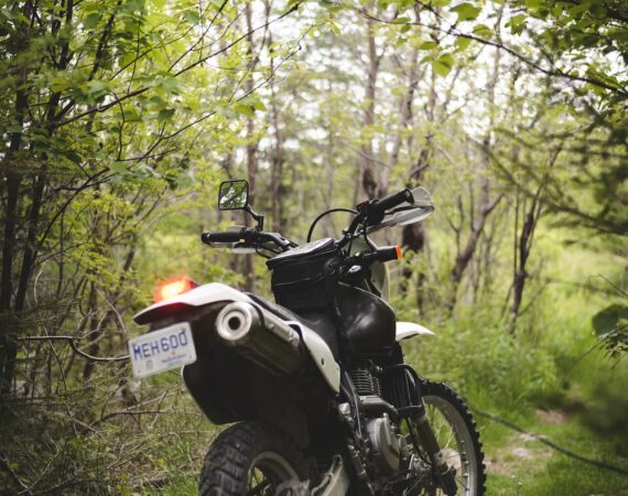 photo 1629822938355 658f0cfc1557