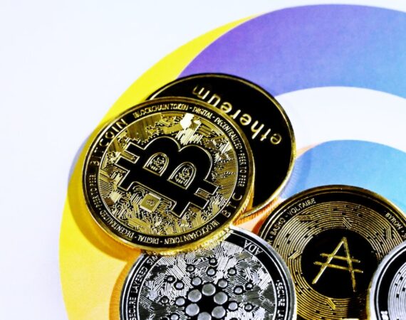 photo 1640592409070 e35e28aedf14