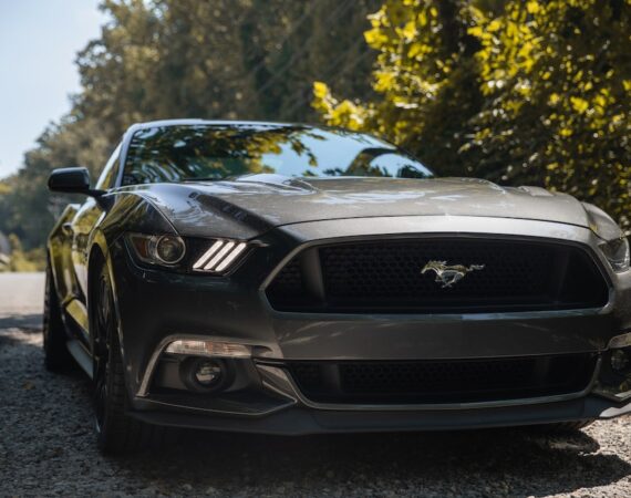 photo 1597274394071 b7362c4a54ec