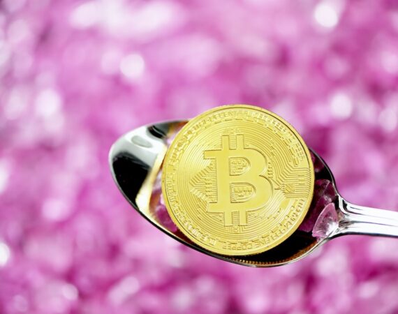 photo 1617875119001 7b8ed8effb1a