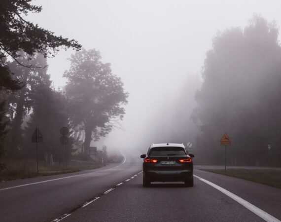 photo 1571608192119 186400824de5