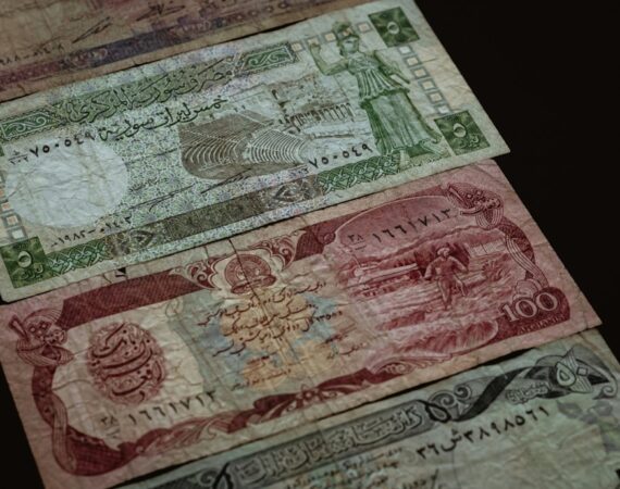 photo 1579287953053 7bded5d8adb0