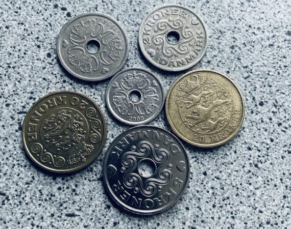 photo 1585483391381 b96dda4fae8f