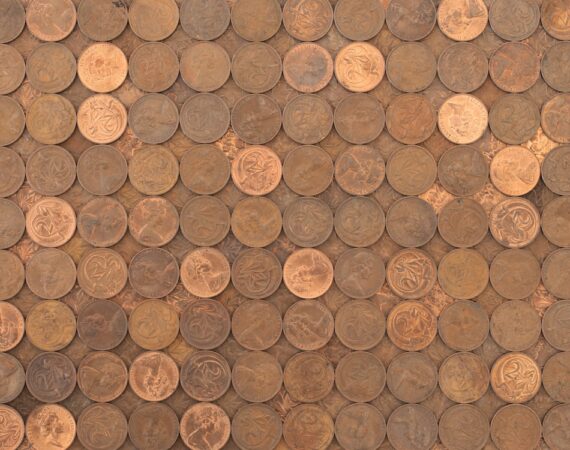 photo 1609387603477 d8adcc635790