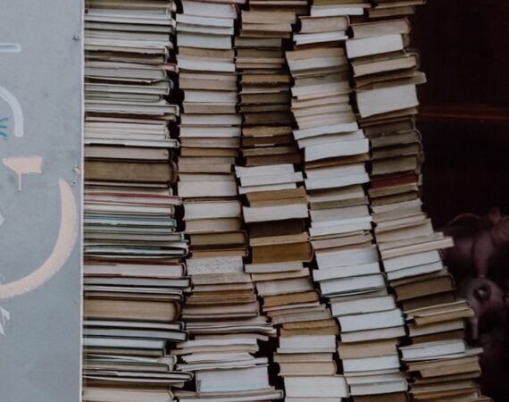 photo 1615318443699 65cddaefa4e8