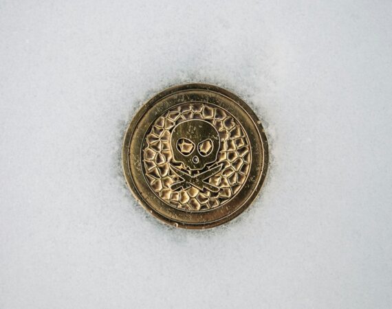 photo 1617004890839 25d5d8a9730d