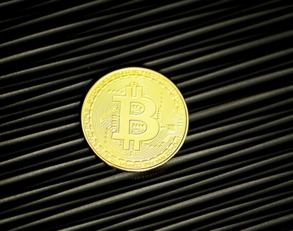 photo 1621501494026 a82ae5515558