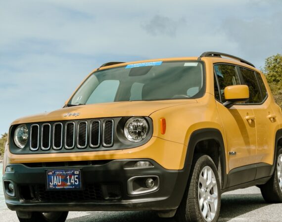 photo 1621695477950 871706530326