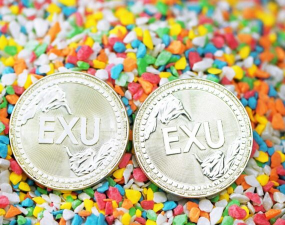 photo 1626397858690 d76cf987f7f6