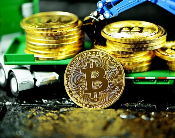 photo 1629789050494 65a1c85f9094