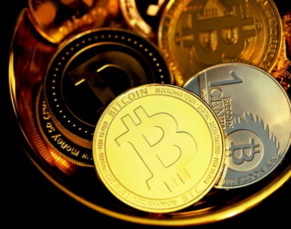 photo 1631758236057 0aedf1bc584d