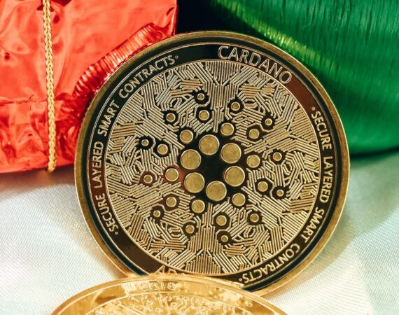 photo 1639729513361 6c8305582e17