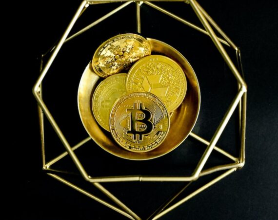 photo 1641965424261 5ad7c5f0b747