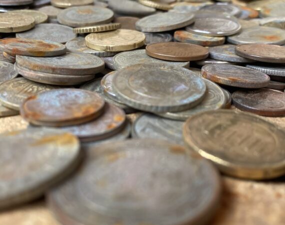 photo 1644871912804 b69477a8a8a2