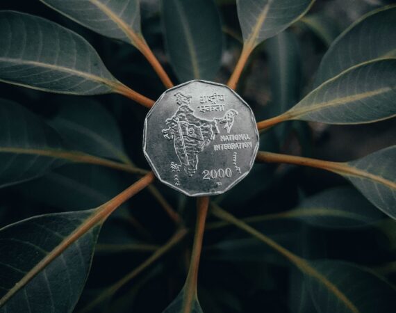 photo 1583412015884 d996c38c7378