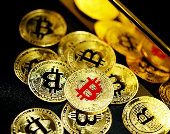 photo 1617854616735 d4a41198e6c1