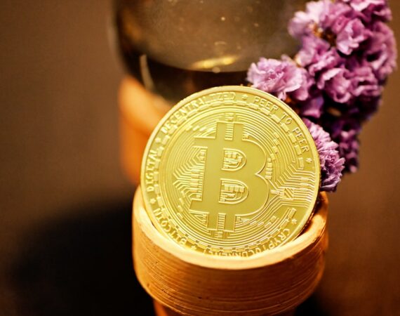 photo 1620206944203 0bf1afee6847