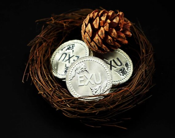 photo 1628238289195 776f90ba16f2