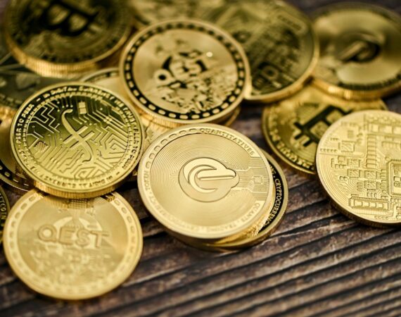 photo 1644550604999 68658ec400d0