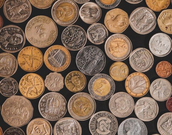 photo 1673905106456 08b002f6bb2b