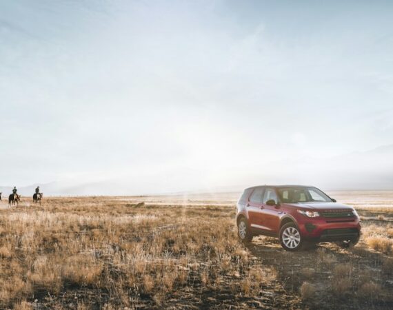 photo 1484176257074 895a78e1917e