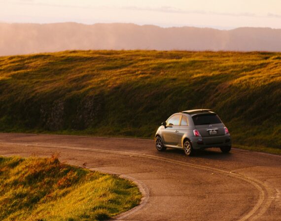 photo 1536196000545 2293bf37f22f