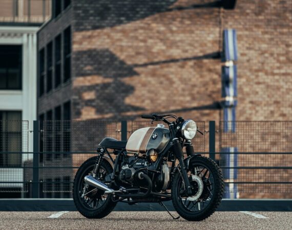 photo 1568708167253 8a8dca6b2970