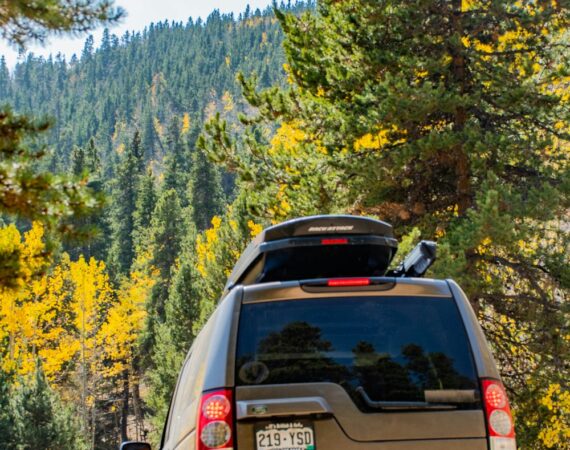 photo 1601945886119 ebf8136a0456