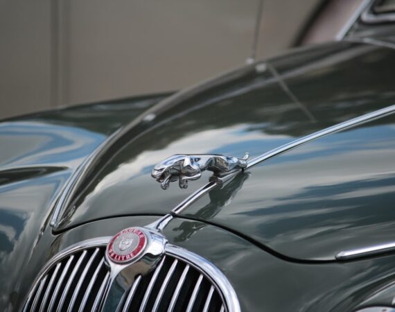 photo 1604441945248 daf425070129