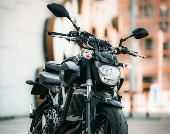 photo 1614165936126 2ed18e471b3b