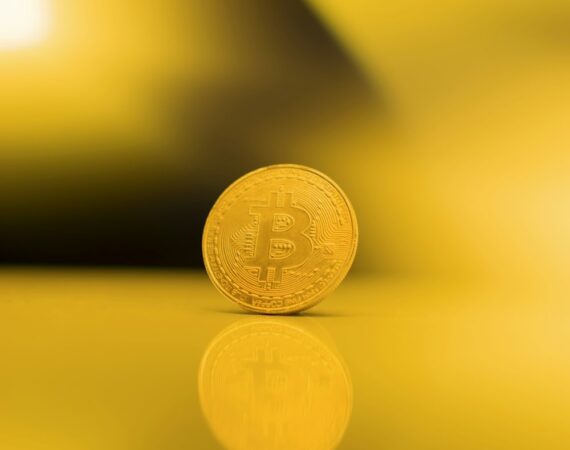 photo 1618262287816 333bc9a6db21