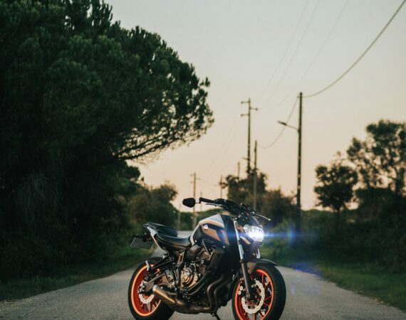 photo 1638206520277 64ed669b9eac