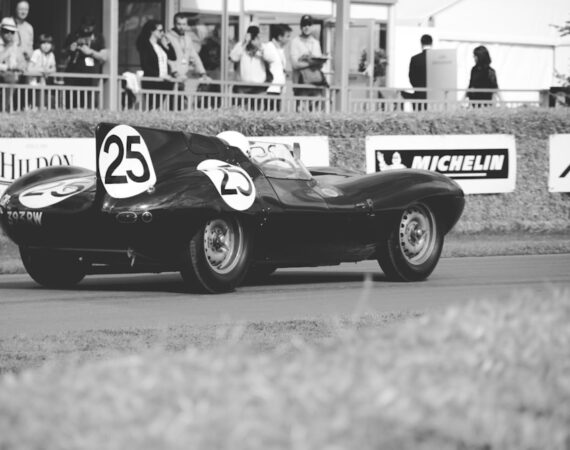 photo 1517772508755 e5400b8aac35