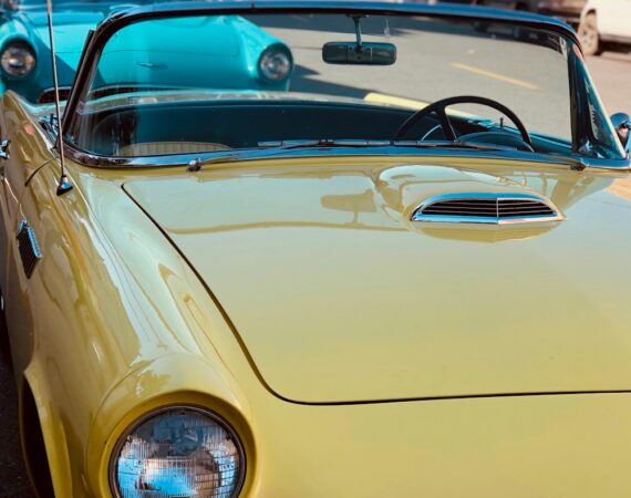 photo 1562076251 9bf415edb465