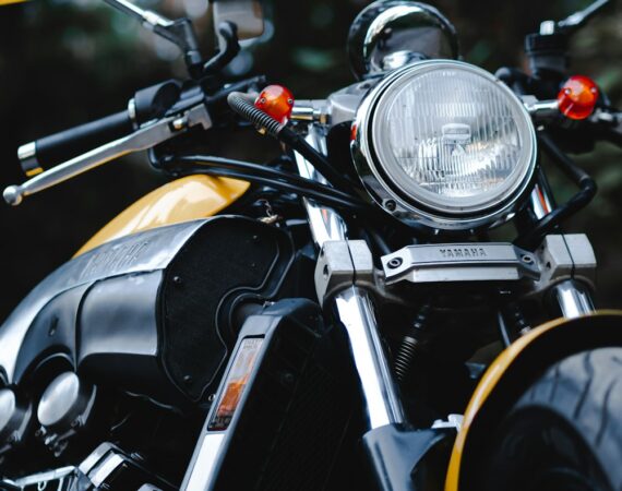 photo 1568621306676 345884c65cf4