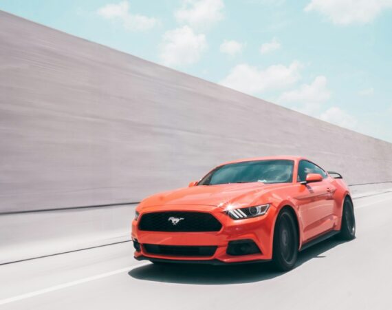 photo 1591920689160 ee83654e464a