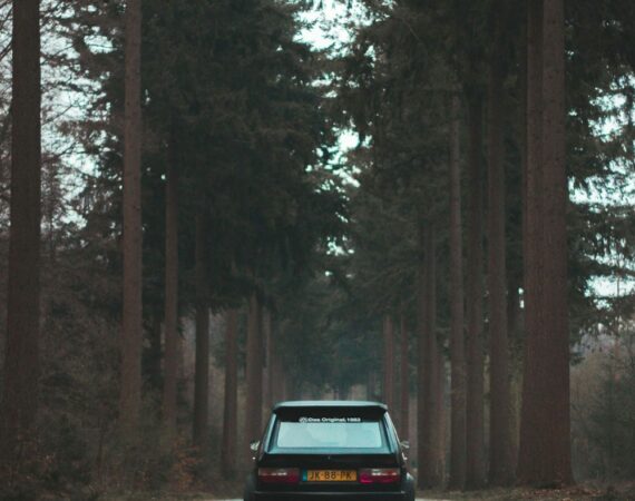 photo 1523564146079 b3fc6d3d2e32